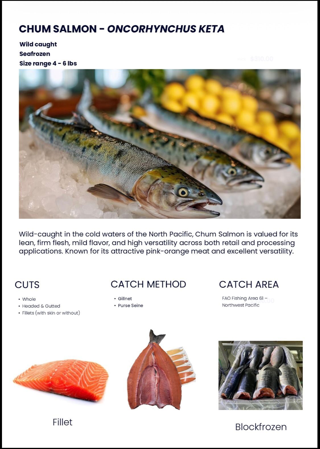 Chum Salmon Datenblatt